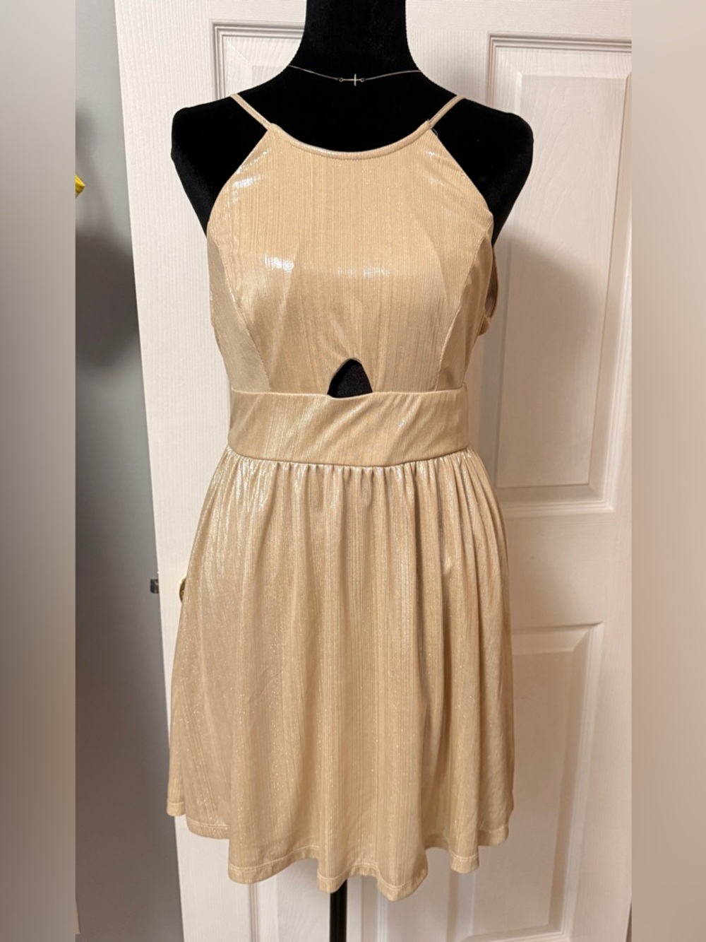 Altar’d State Shimmery Champagne Sleeveless Fit & Flare Dress